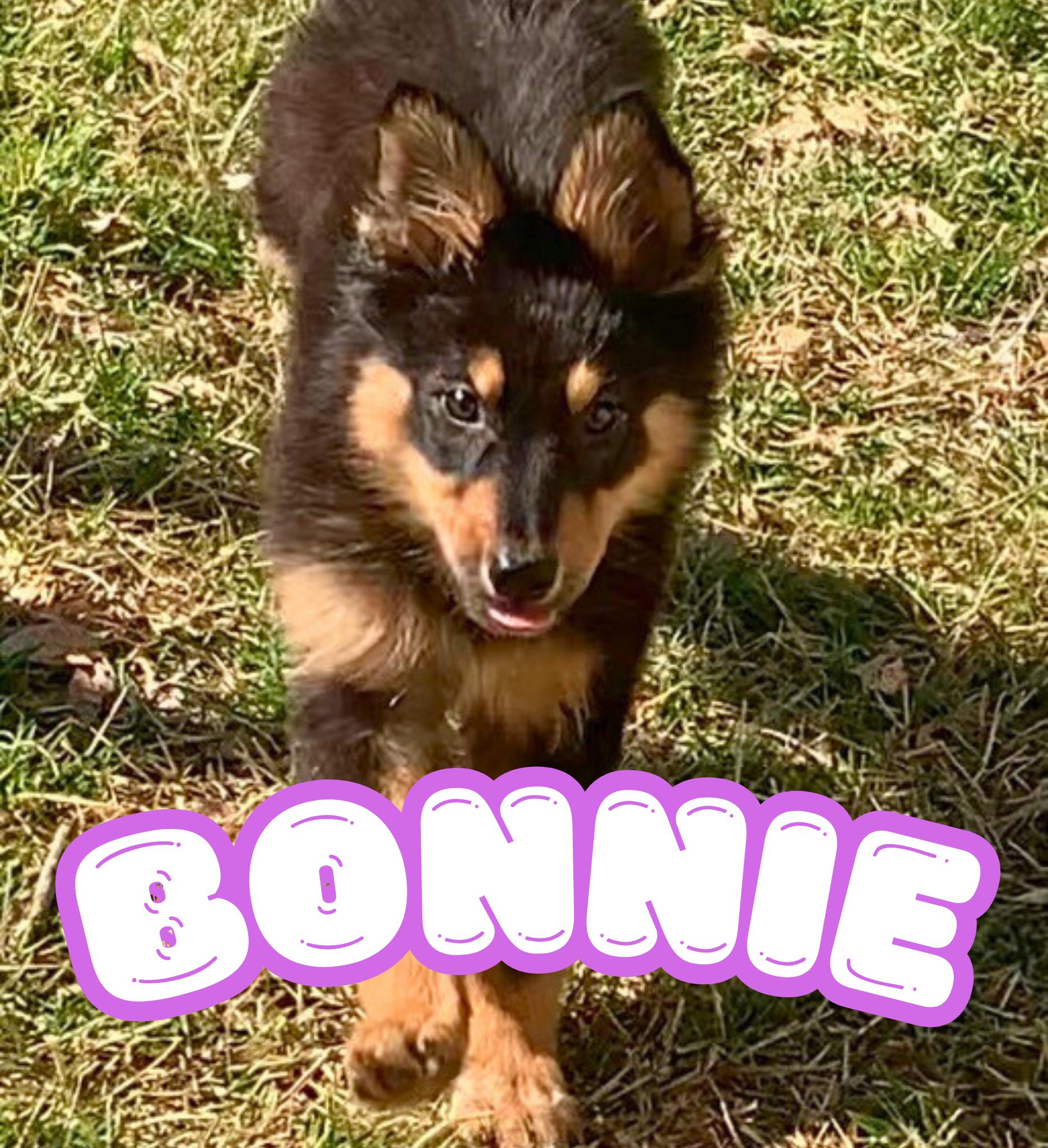 Bonnie (San Antonio)