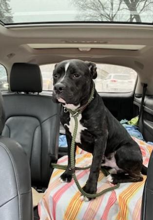 Theo — thumbnail 6