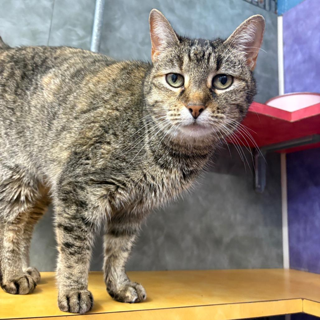 Emma Peal — thumbnail 4