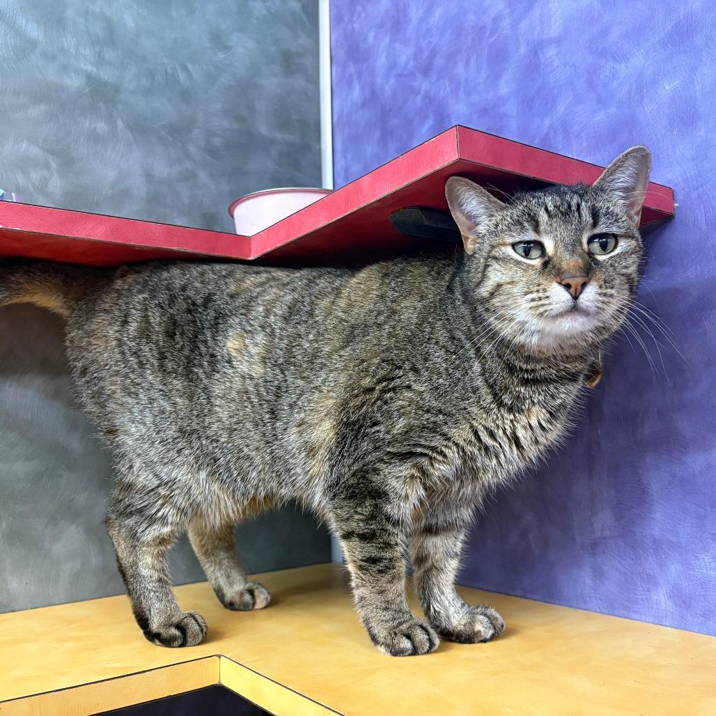 Emma Peal — thumbnail 5