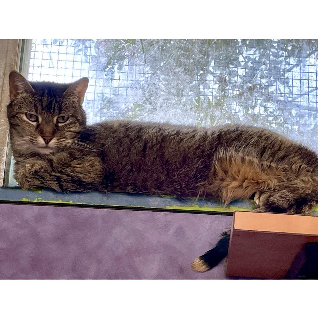 Emma Peal — thumbnail 6