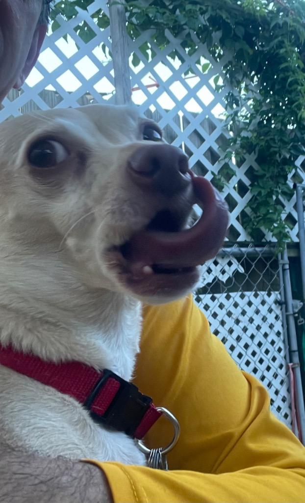 Butter (fka Scooby) — thumbnail 2