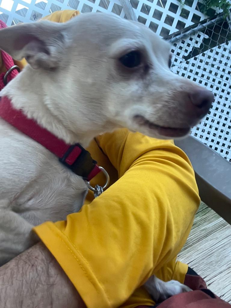 Butter (fka Scooby) — thumbnail 3