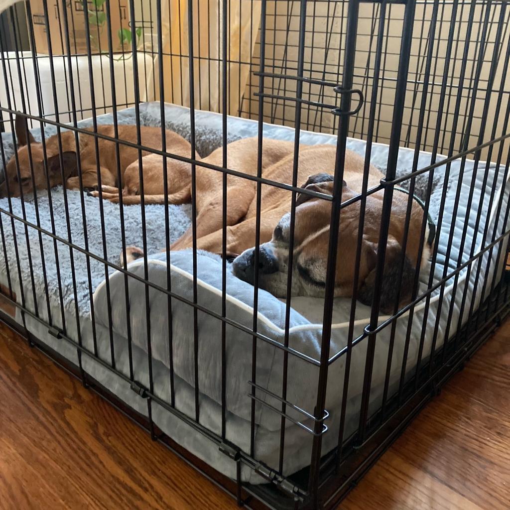 Biggie Bonded With Wrigley thumbnail 2