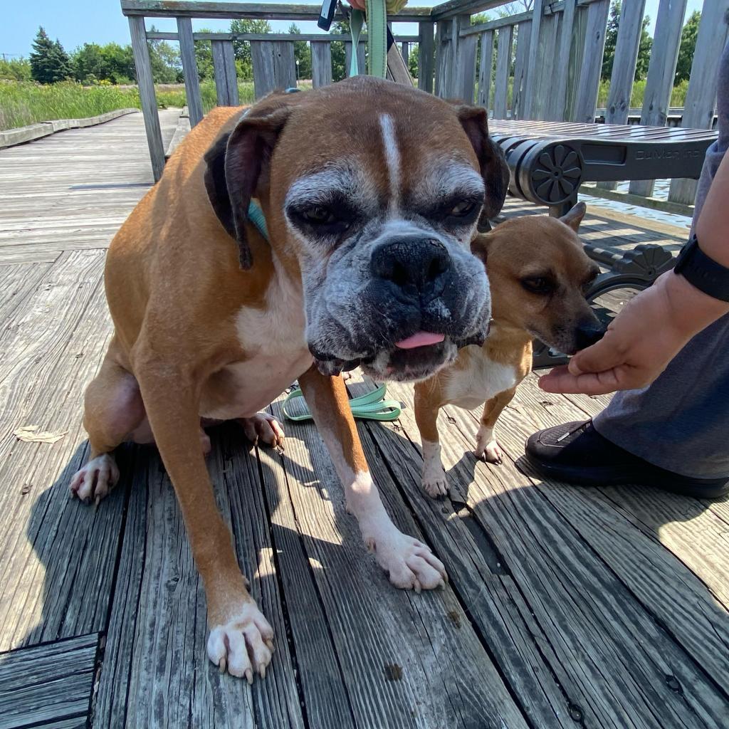 Biggie Bonded With Wrigley thumbnail 6