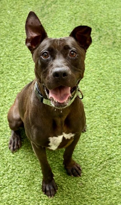 Charlize — thumbnail 2