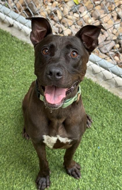 Charlize — thumbnail 3