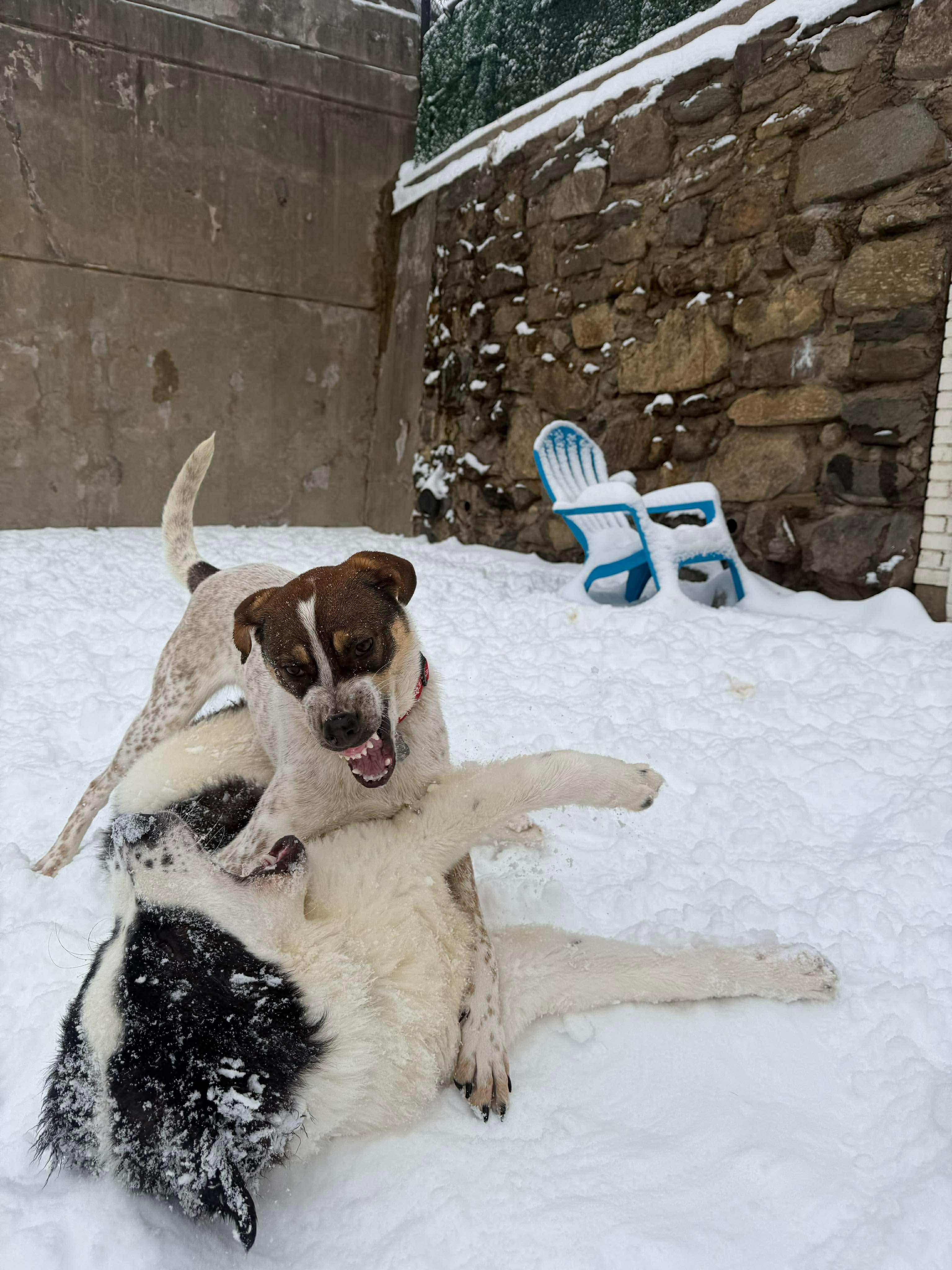 Charlie Horse thumbnail 3