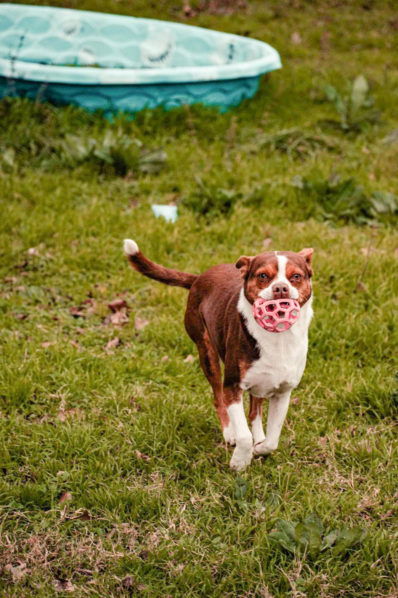 Coco (Courtesy Post)