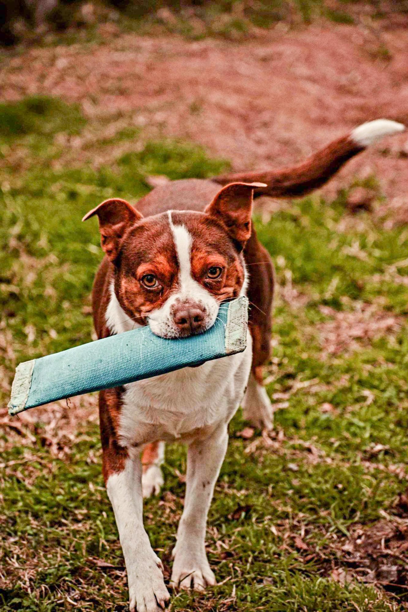 Coco (Courtesy Post)