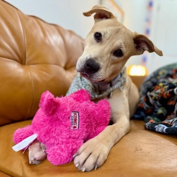 Sunnie D Light Sadie — thumbnail 3