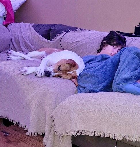 Enlarge Addie, a Adoptable mixed breed in Brookshire, TX image 11/11