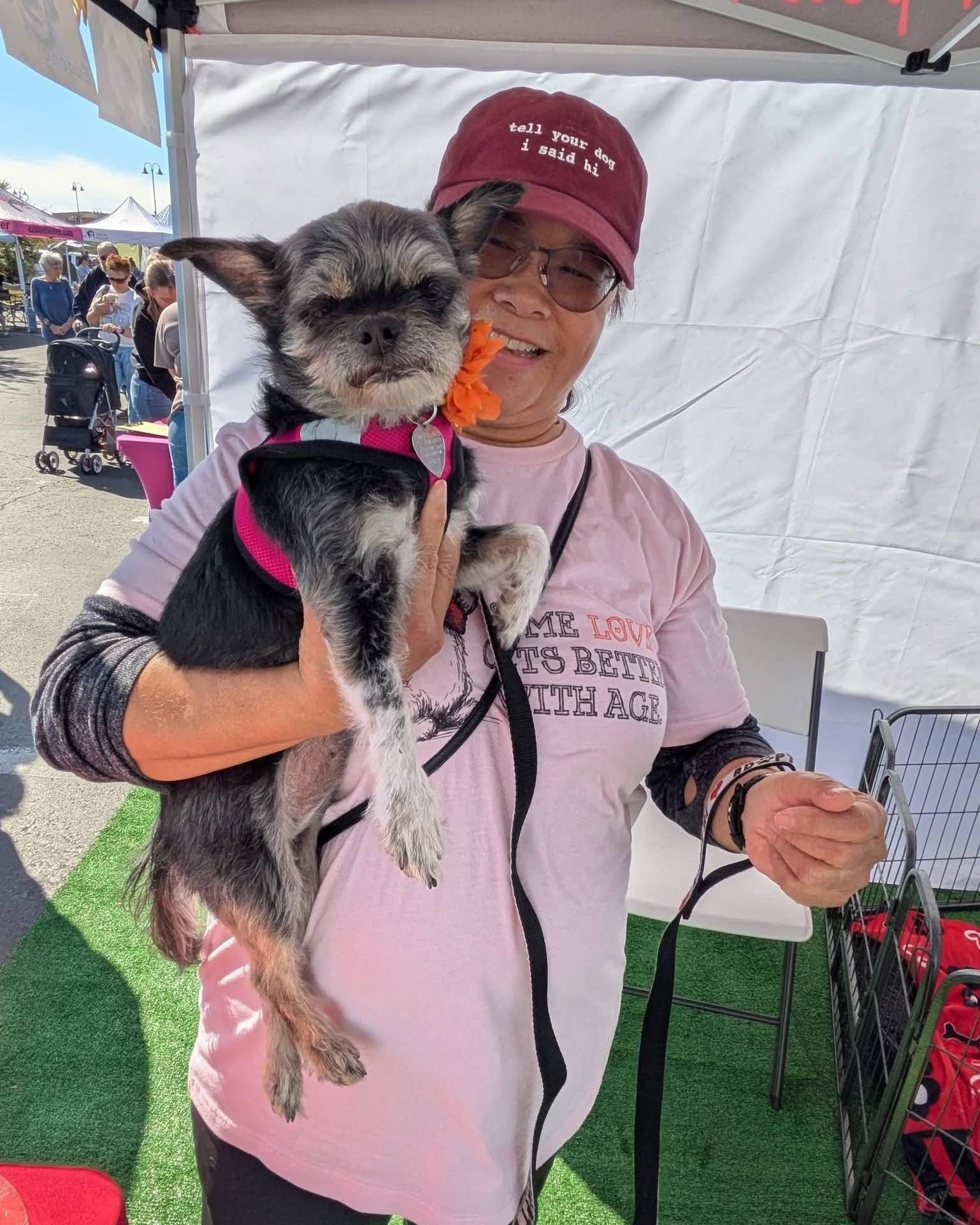 Enlarge Jolie, an adopted mixed breed in Scottsdale, AZ image 5/5