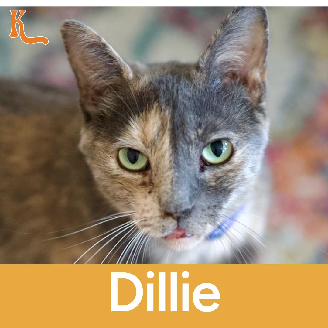 Dillie