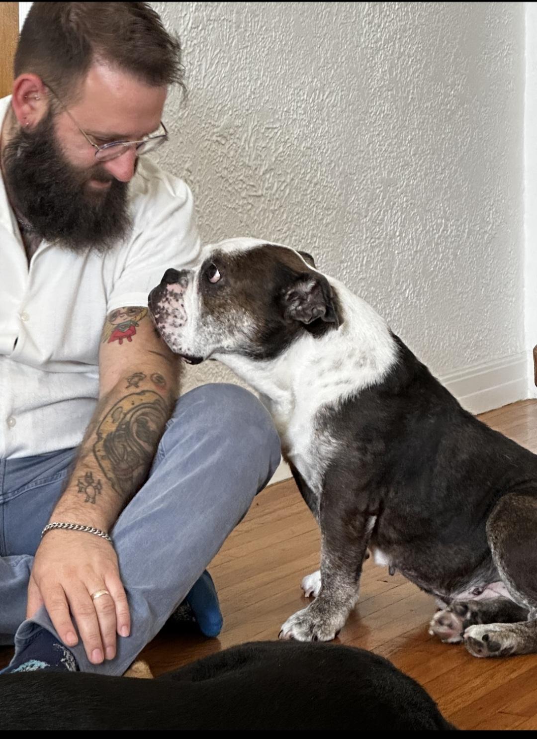 Enlarge Clementine is very loving, a Adoptable mixed breed in Redondo Beach, CA image 4/6