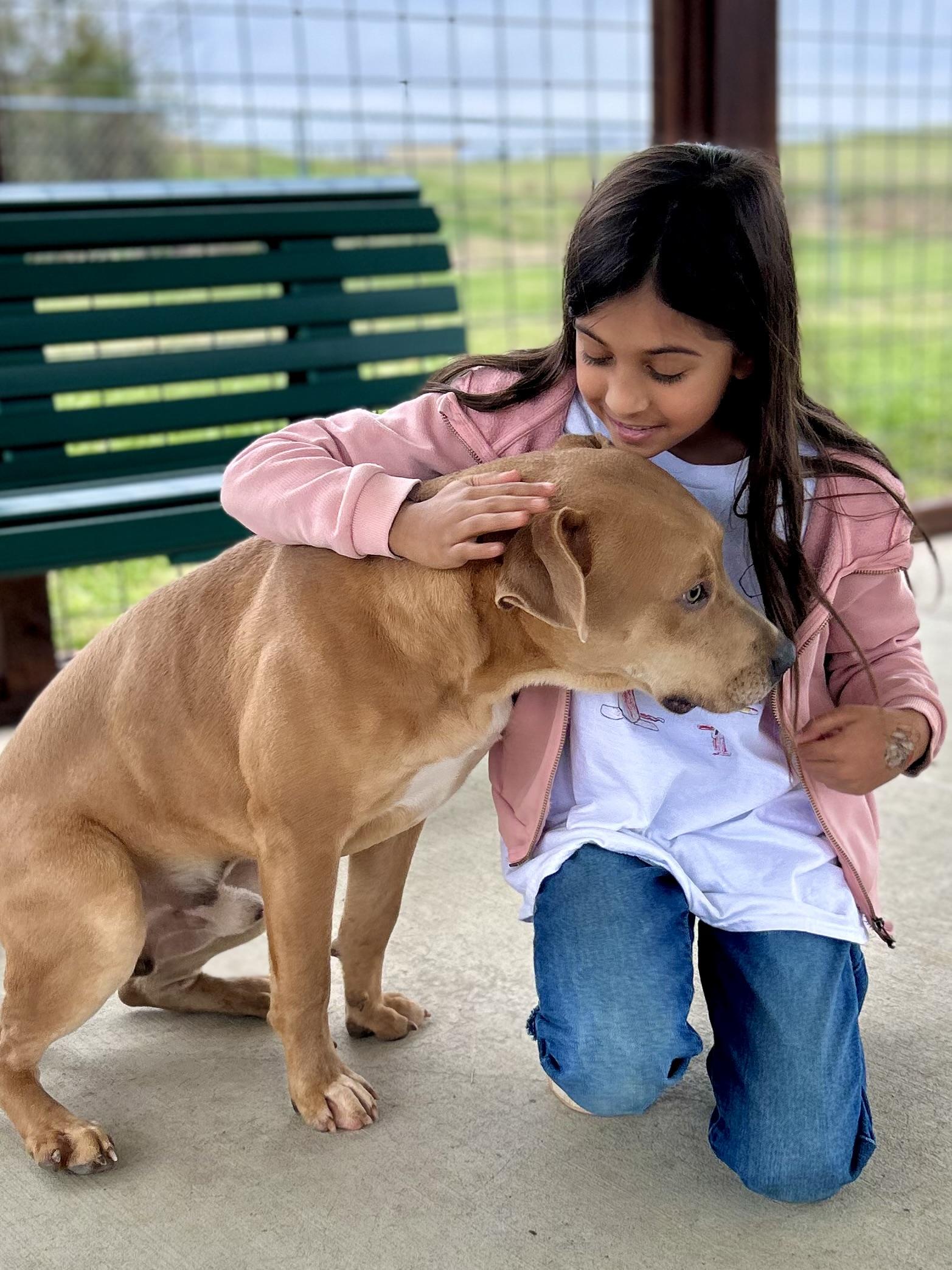 Enlarge Seven, an adopted Mixed Breed in Franklin, KY image 4/6