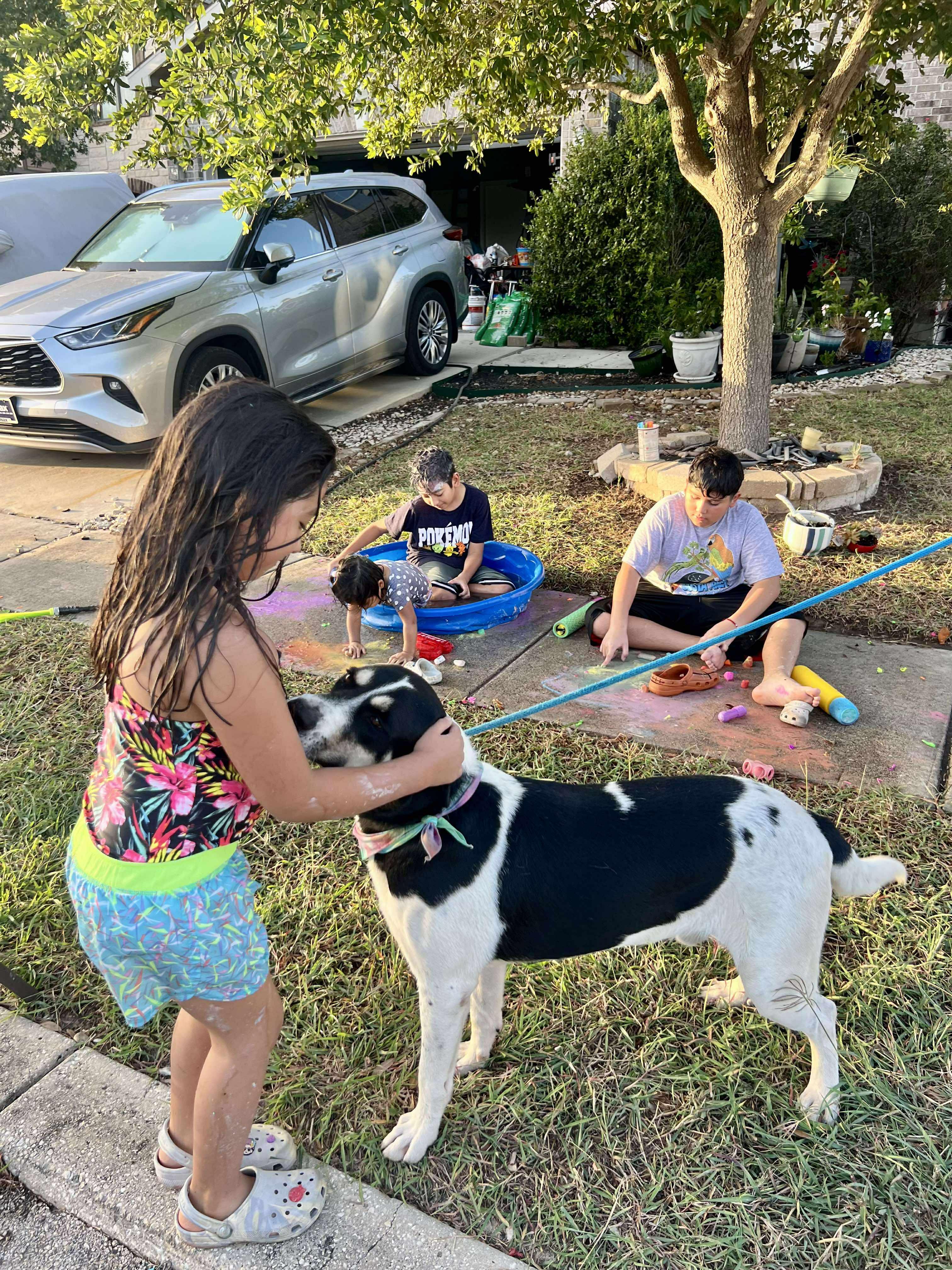 Bobby, a Adoptable mixed breed in San Antonio, TX image 2/6