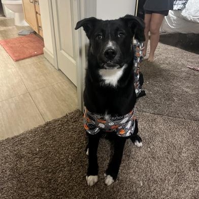 Richie — thumbnail 4