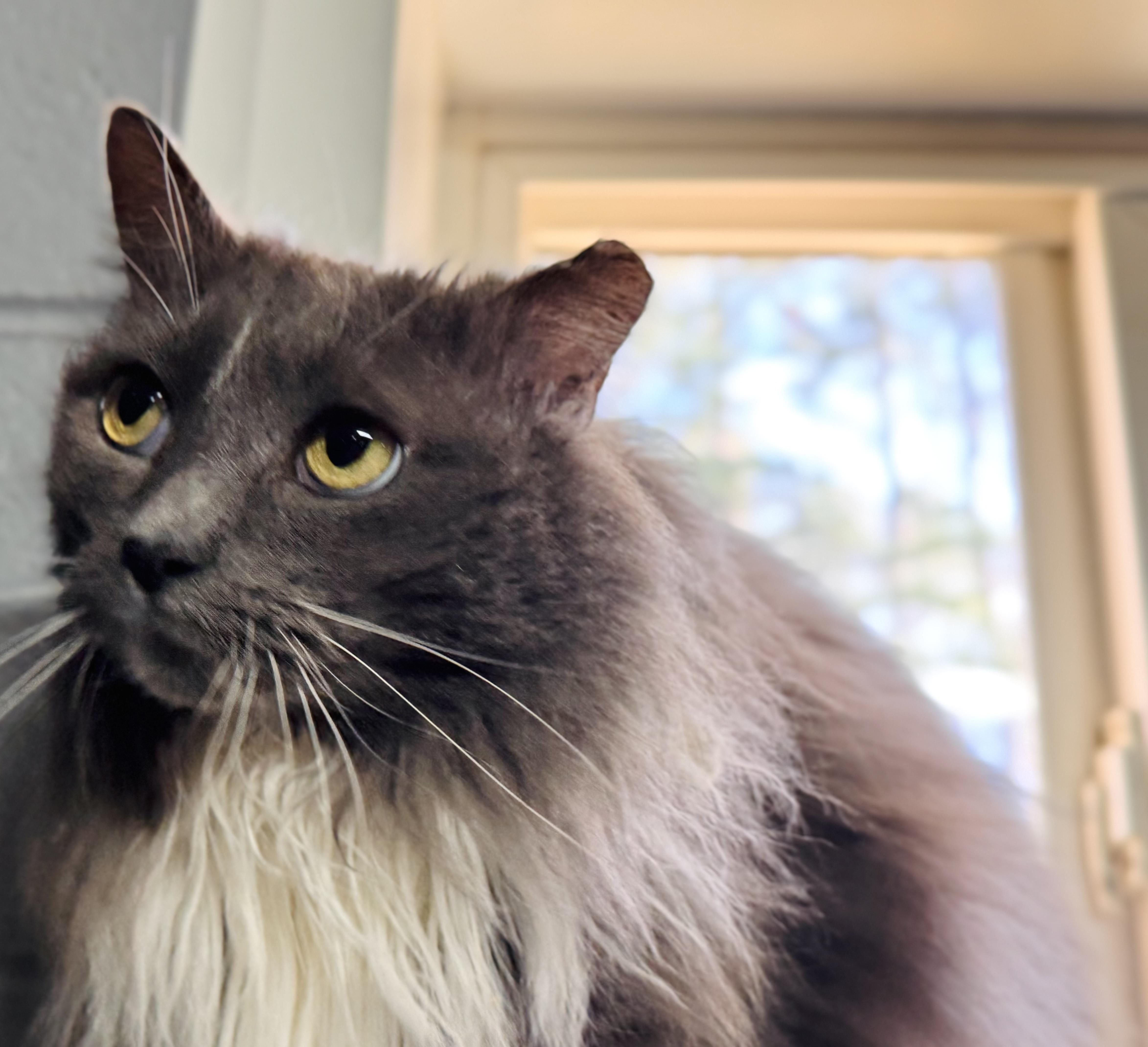 Maddie — thumbnail 2