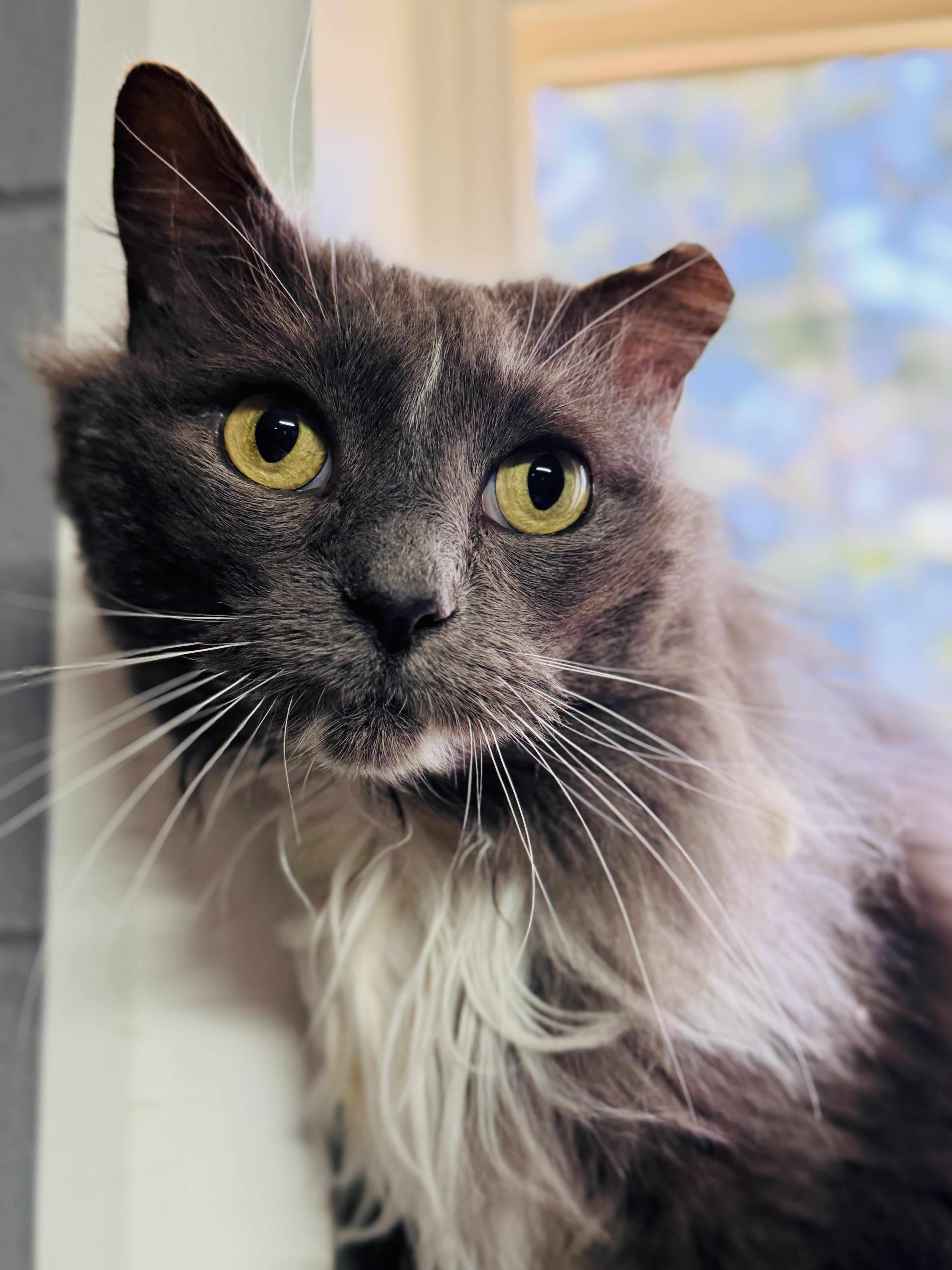 Maddie — thumbnail 3