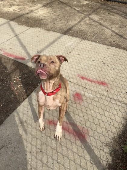 Evander — thumbnail 2