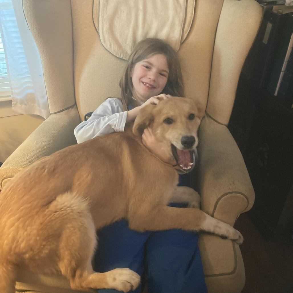 Enlarge Whiskey, a Adoptable Mixed Breed in Winston Salem, NC image 3/5