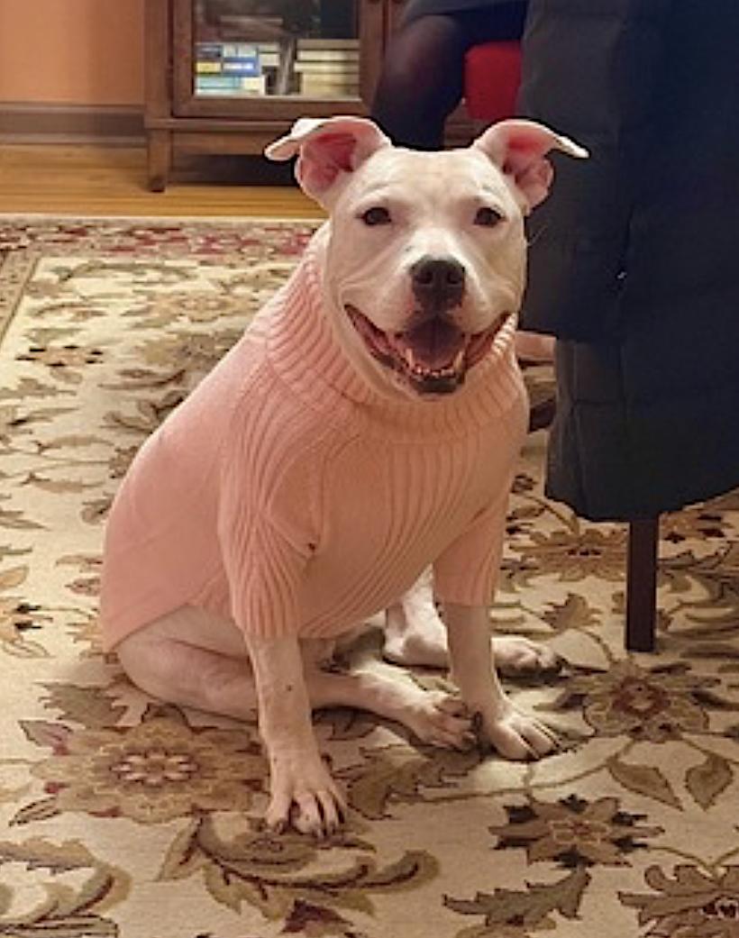 Remi — thumbnail 4