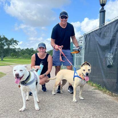 C52-22 Eeyore, a Adoptable mixed breed in Nassau Bay, TX image 4/6