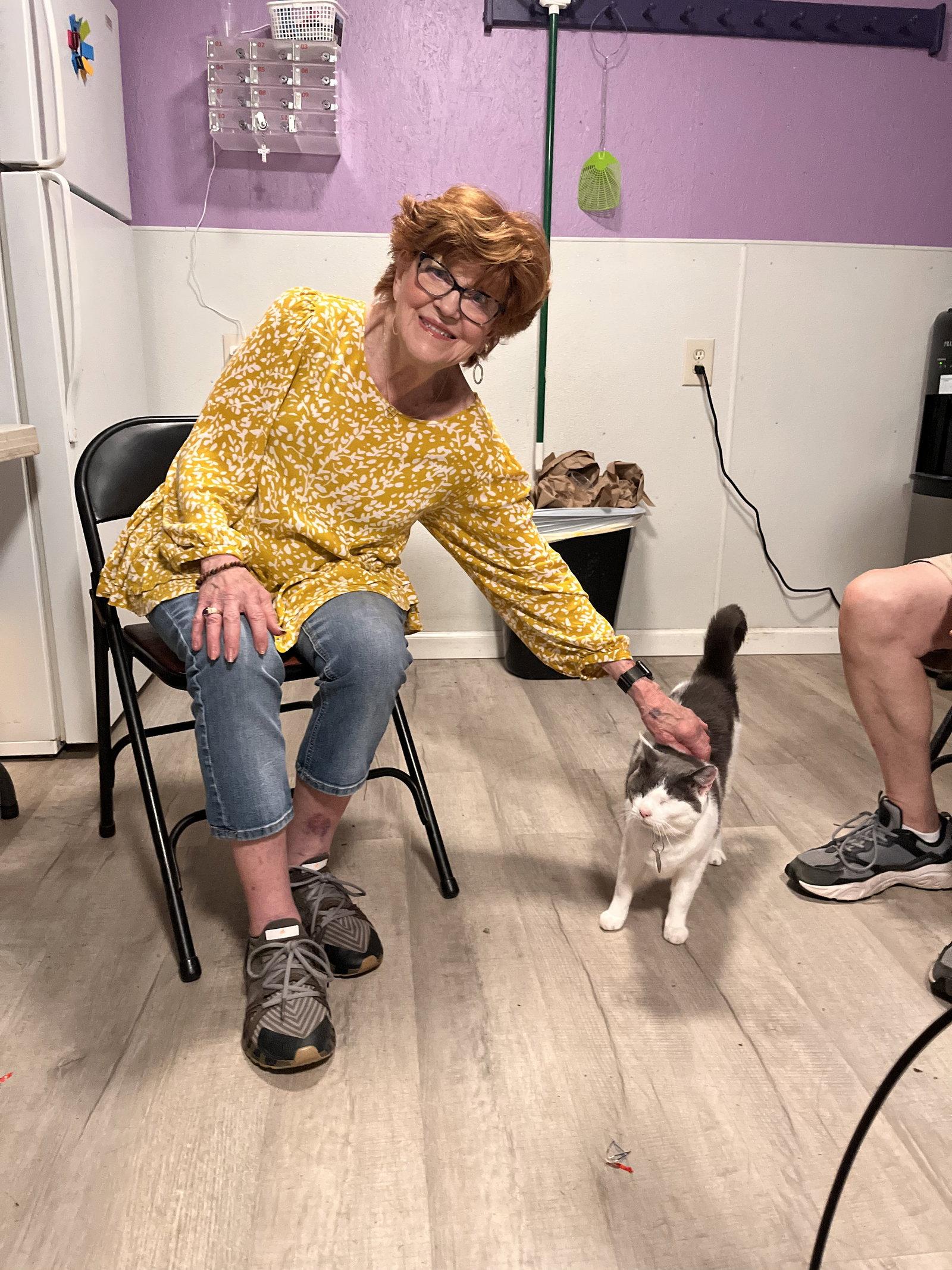 Matilda Dec 24, Adopted, Adult Female Domestic Short Hair.