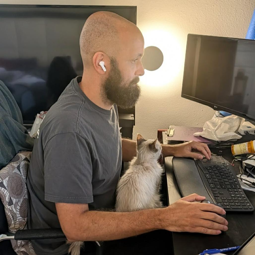 Snowy, Adoptable, Adult Female Domestic Medium Hair.