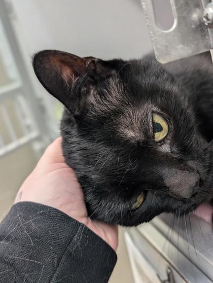 Romper — thumbnail 3