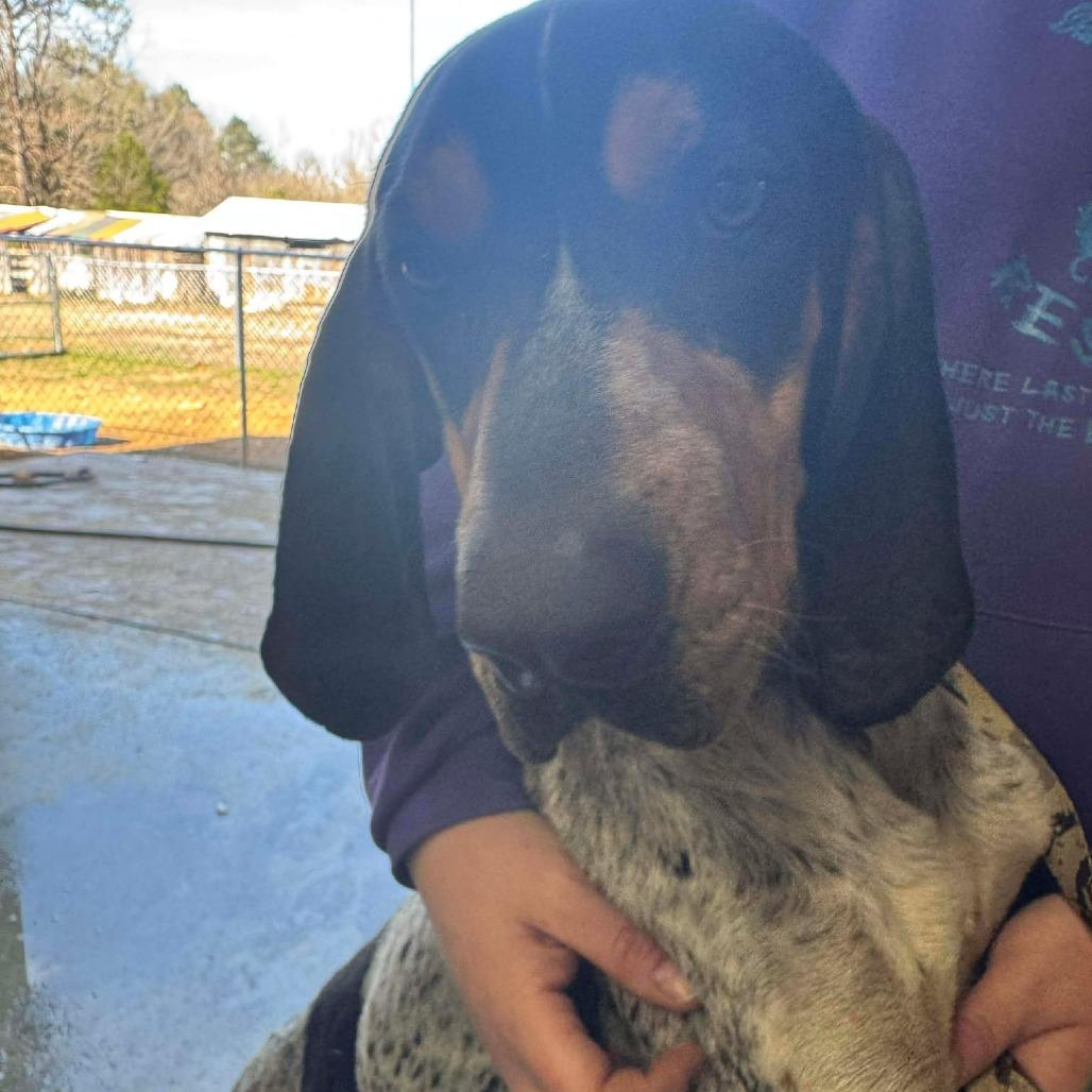 Jethro Blue thumbnail 4