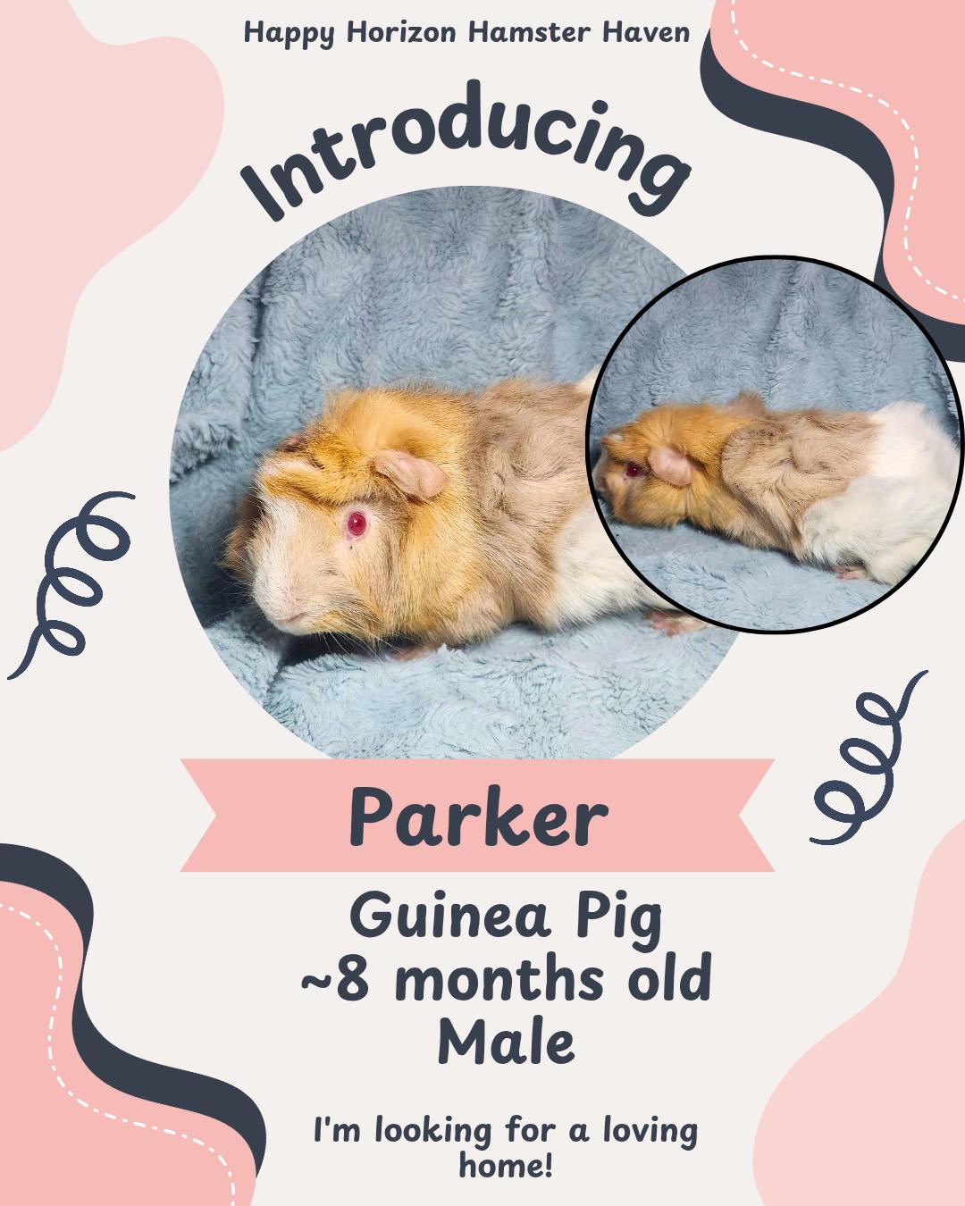 Parker