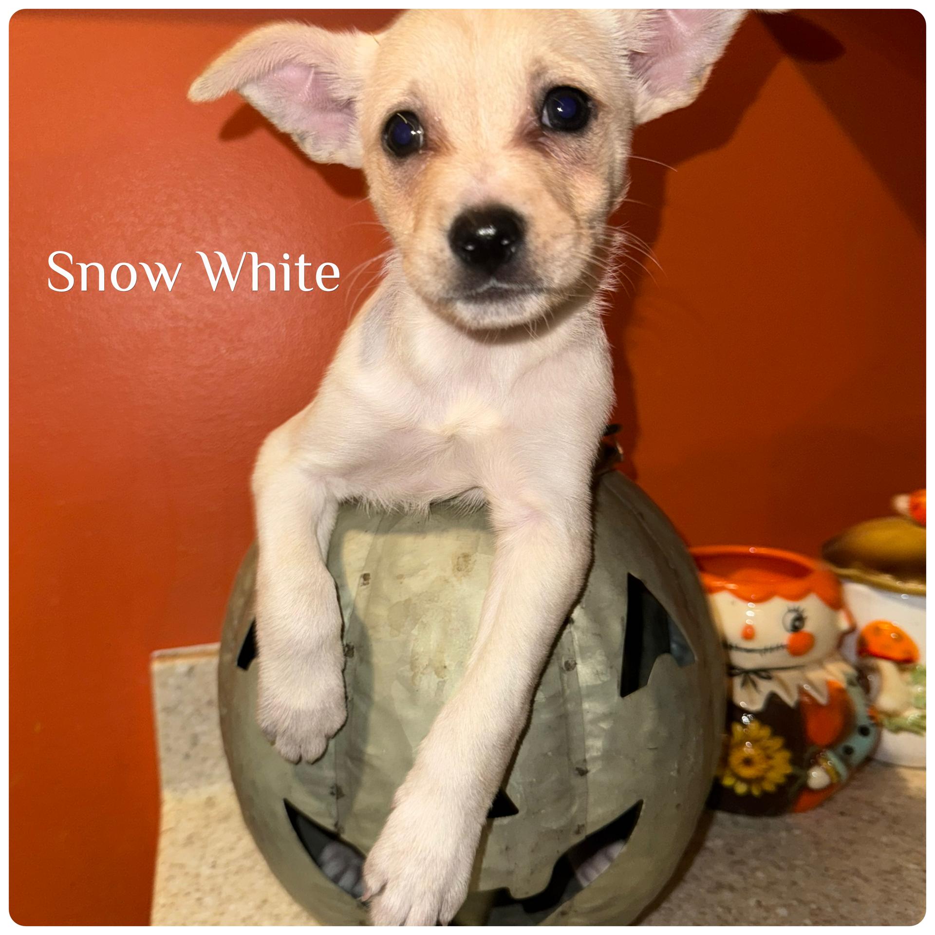 Snow White