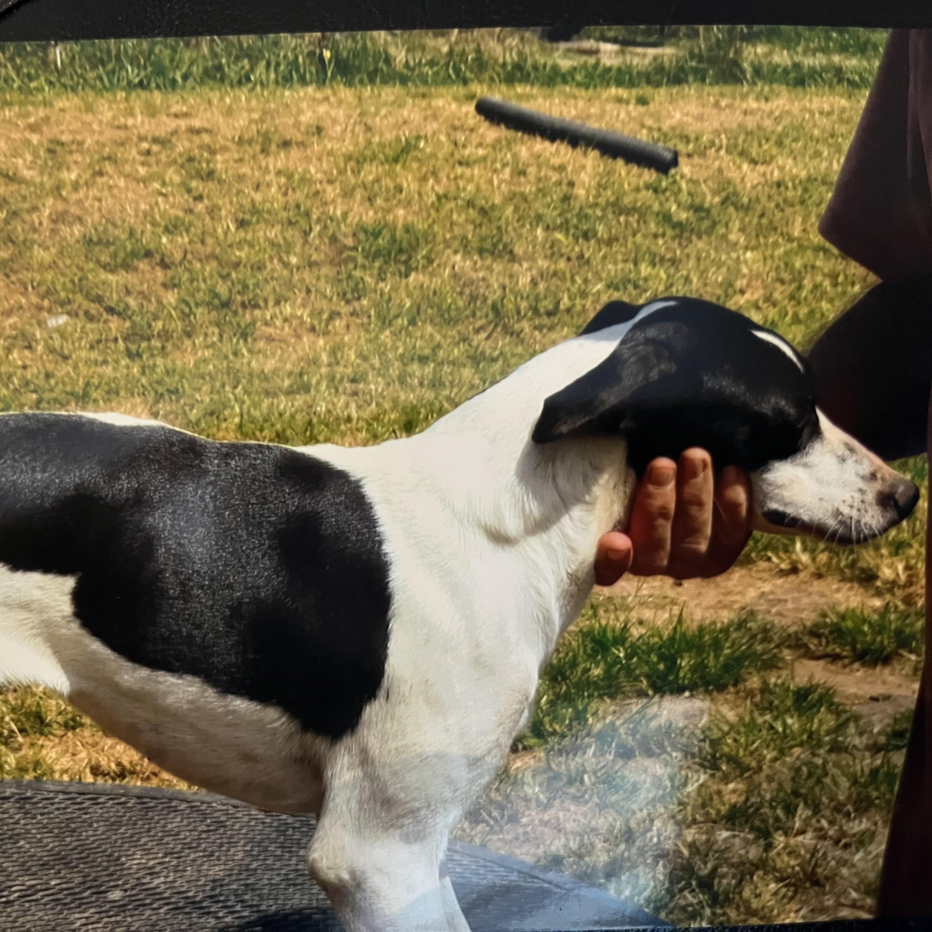 Minnie Freckles (Community Assist)