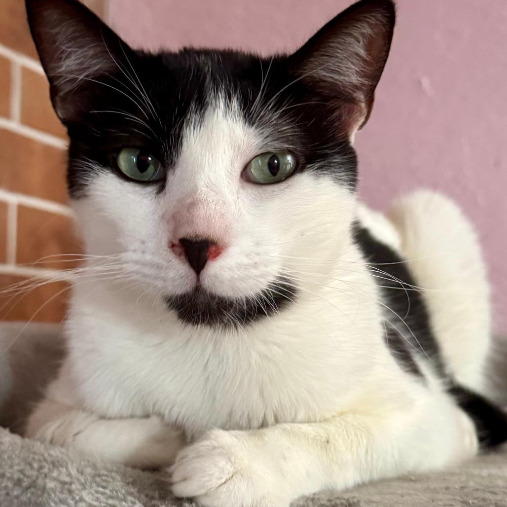 Lucy — thumbnail 2