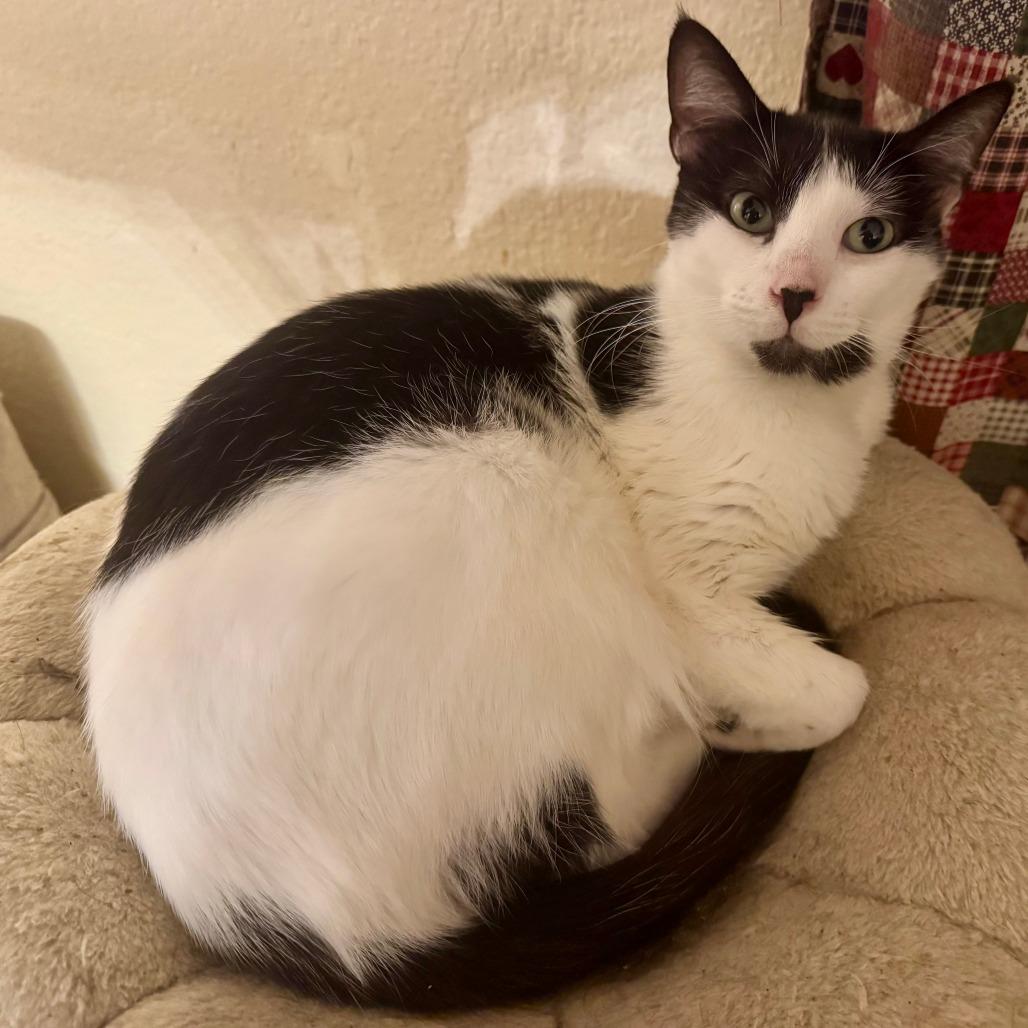 Lucy — thumbnail 3