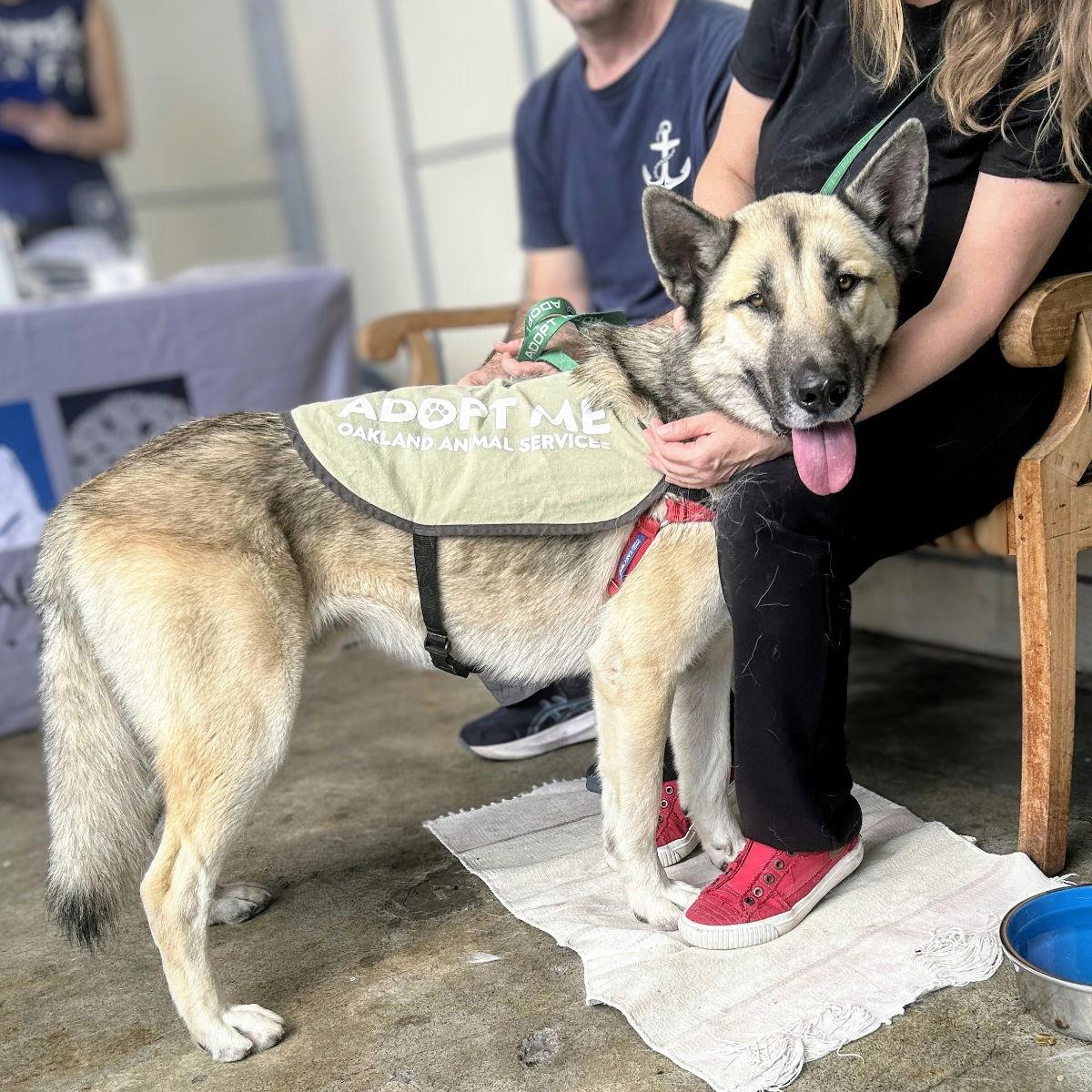 Sunday — thumbnail 5