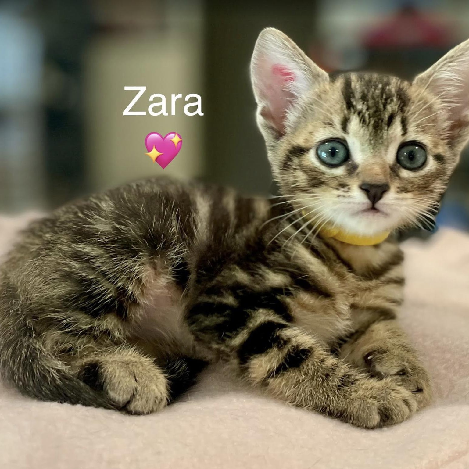 Zara photo 4