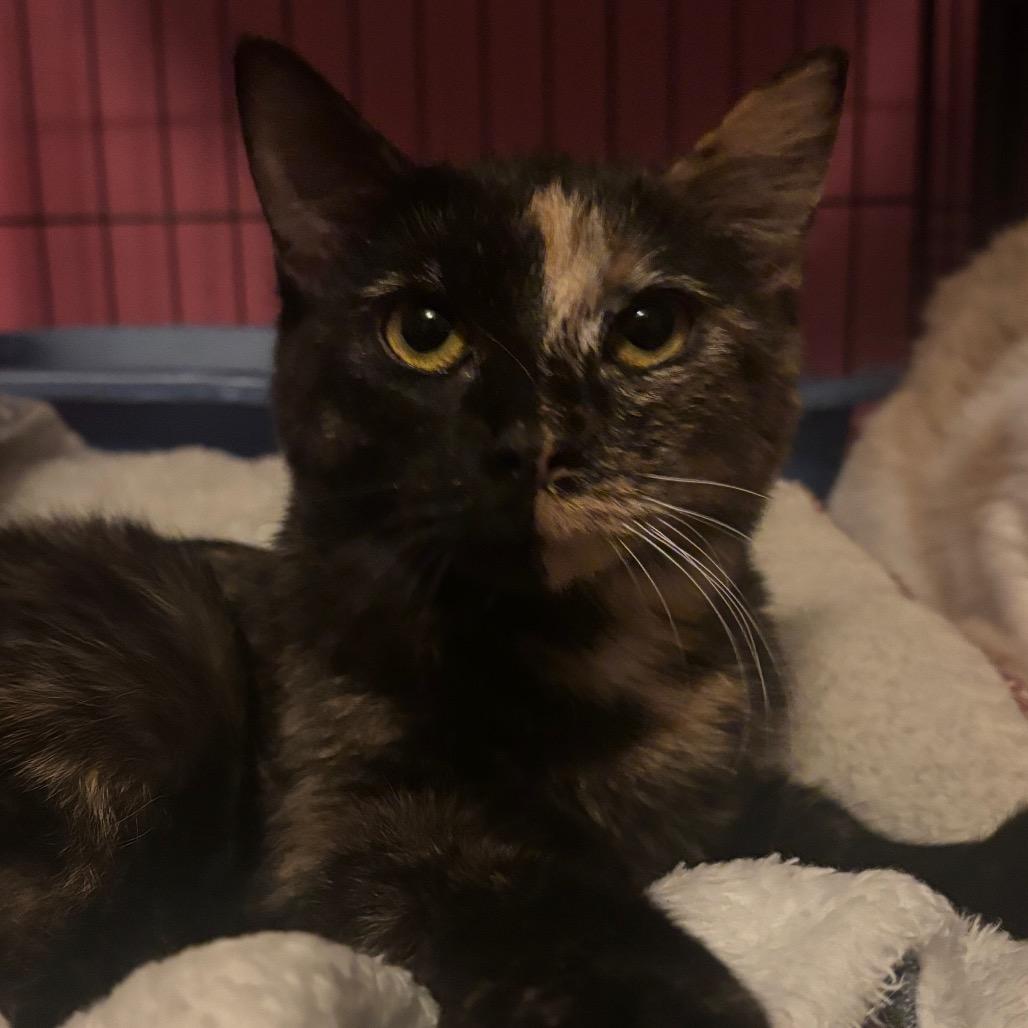 Arboretum — thumbnail 2