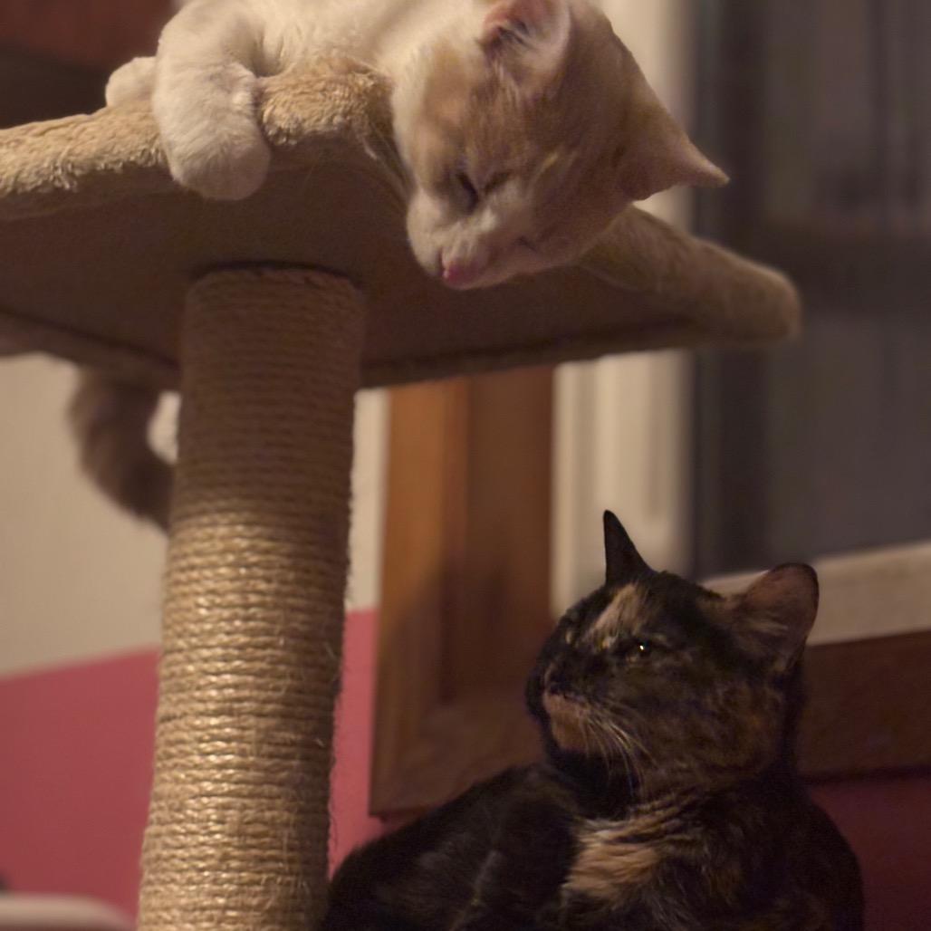 Arboretum — thumbnail 3