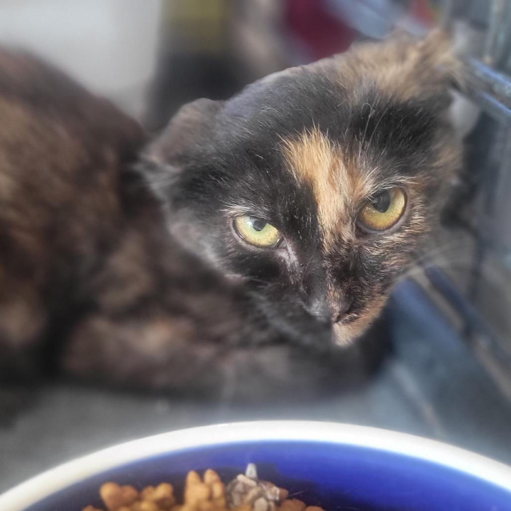 Arboretum — thumbnail 4