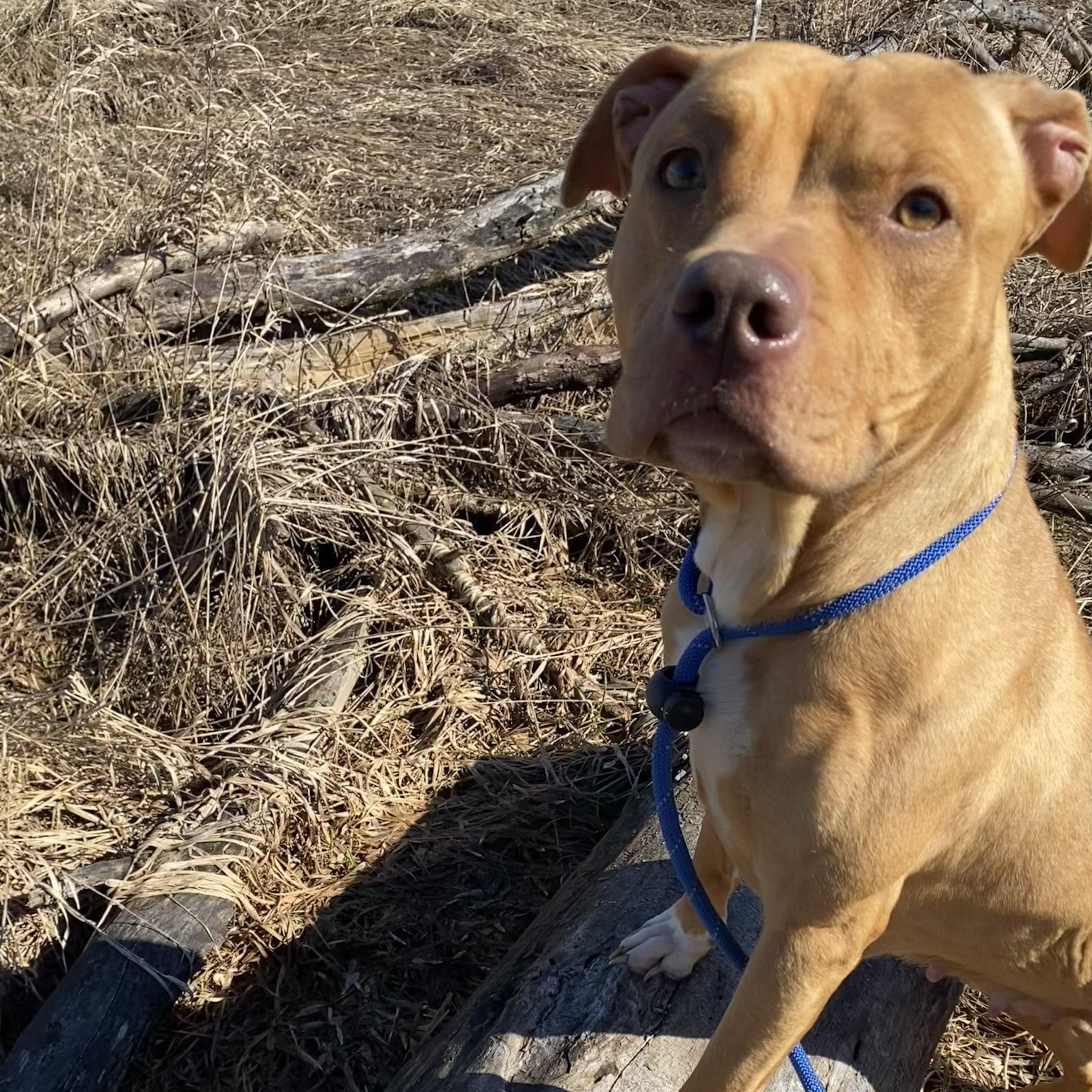 Lizzie — thumbnail 3