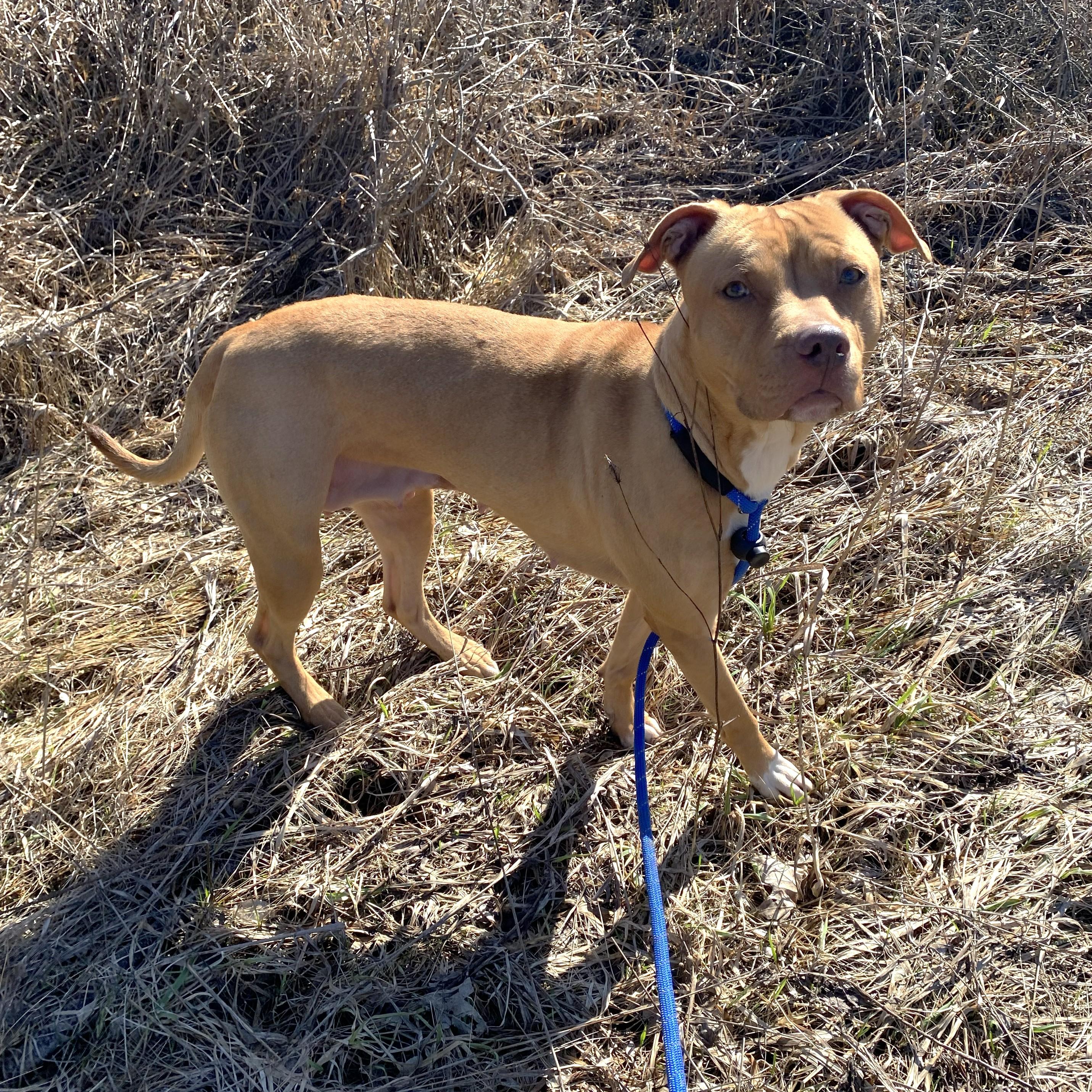 Lizzie — thumbnail 4