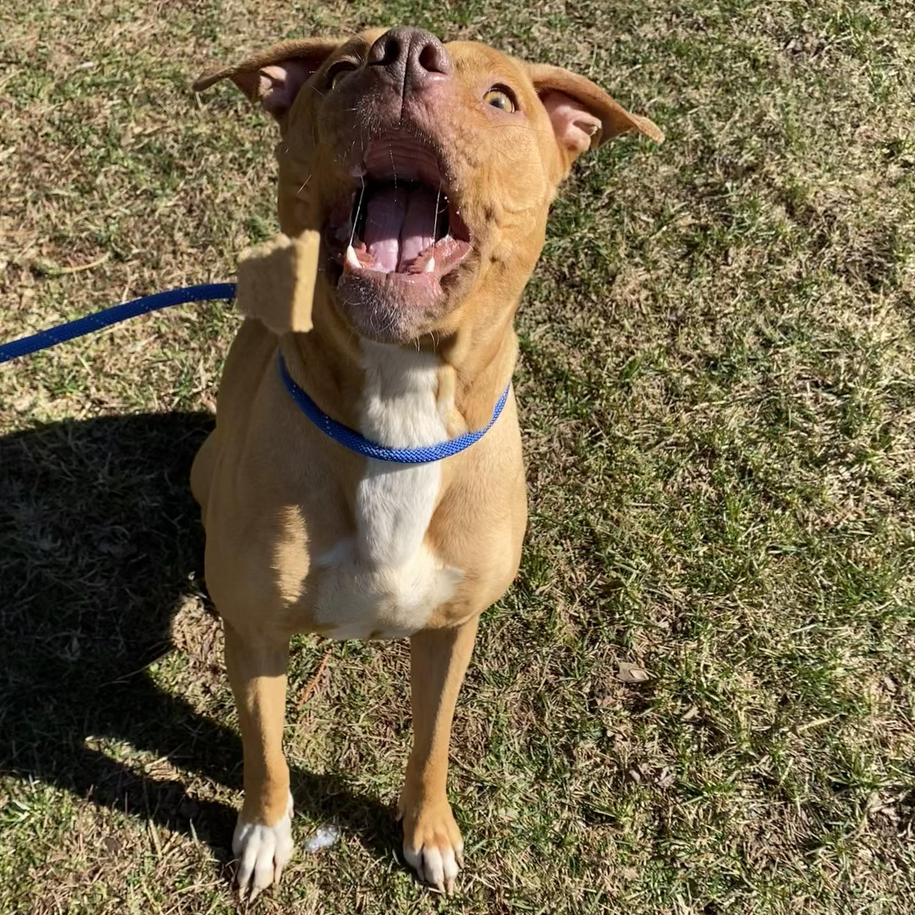 Lizzie — thumbnail 5