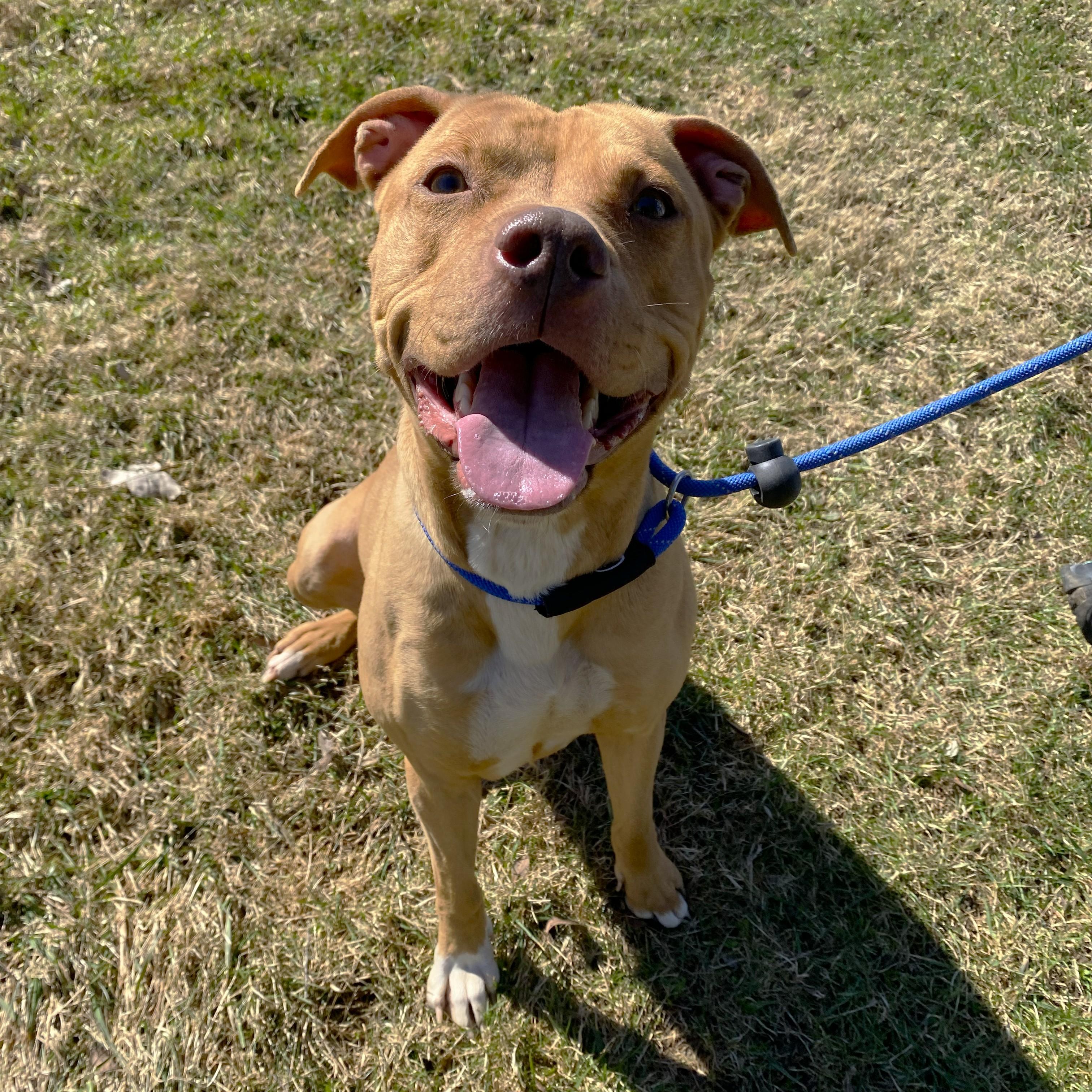 Lizzie — thumbnail 6