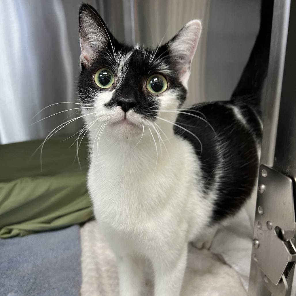 Little Debbie — thumbnail 2