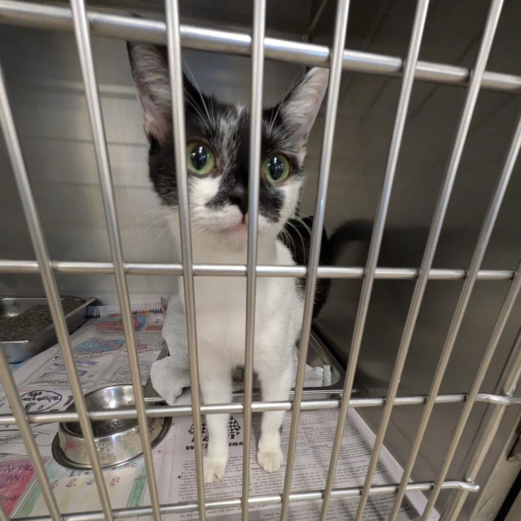 Little Debbie — thumbnail 3