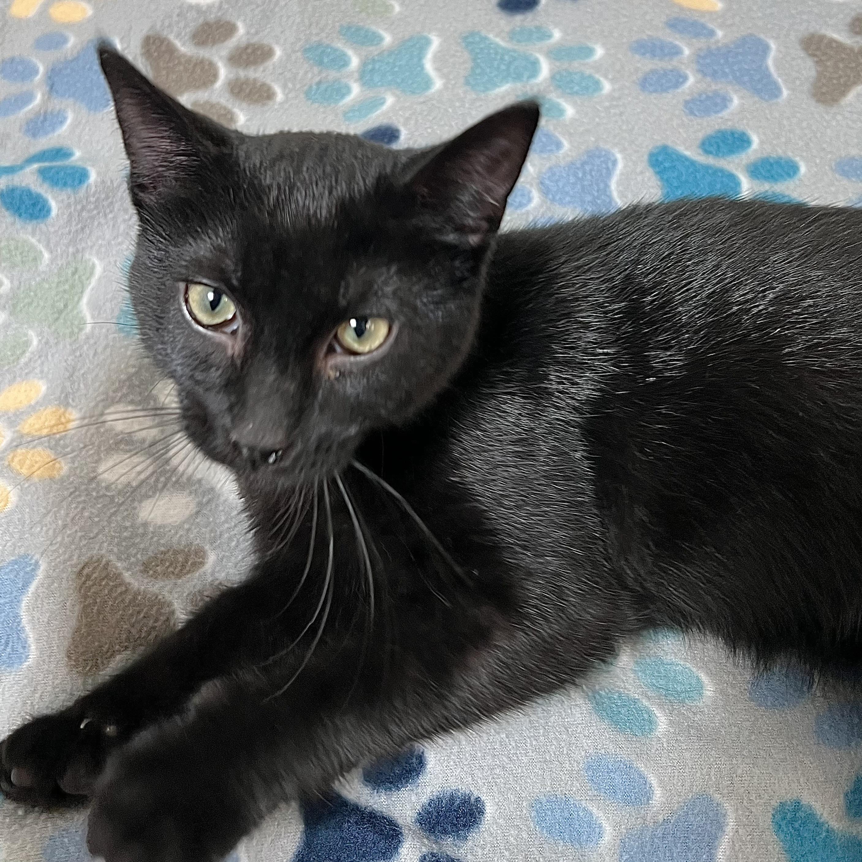 Void **NO FEE** (Sponsored by a John Jensen)