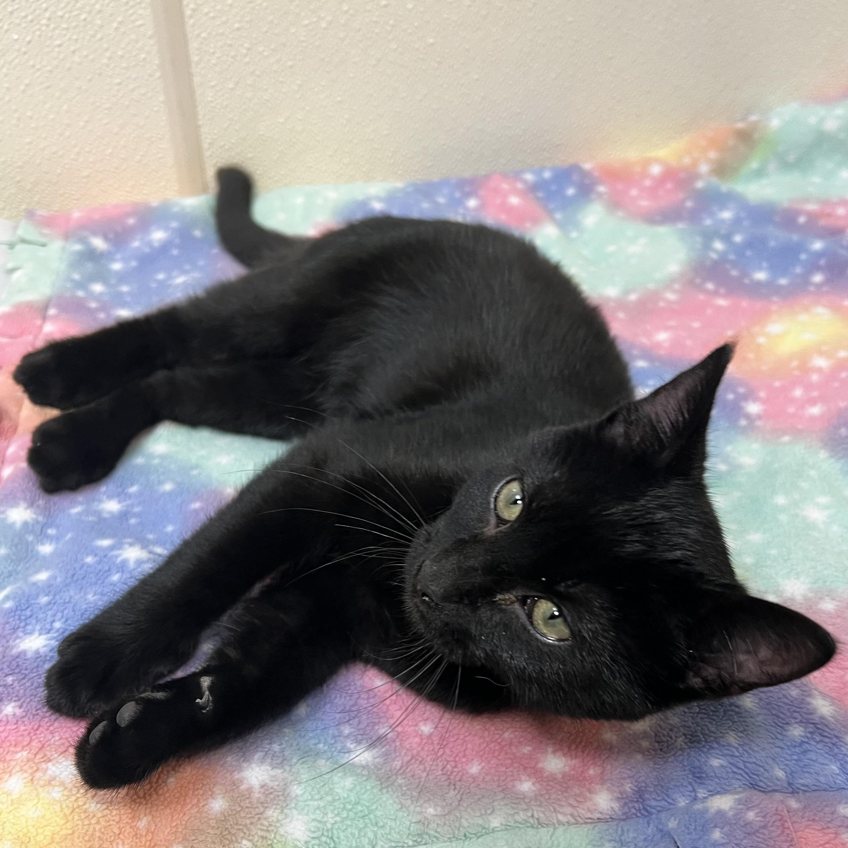 Void **NO FEE** (Sponsored by a John Jensen)